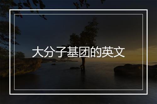 大分子基团的英文