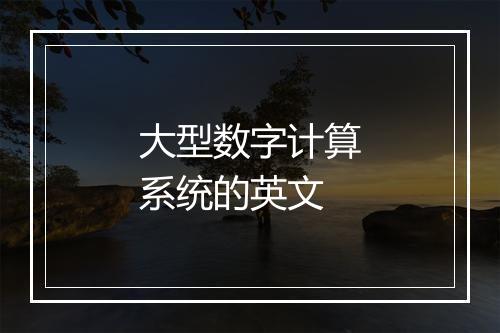 大型数字计算系统的英文