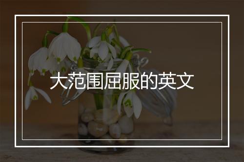 大范围屈服的英文