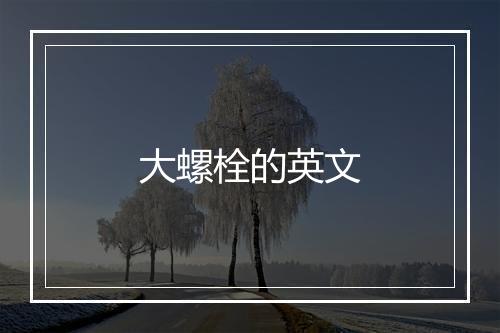 大螺栓的英文