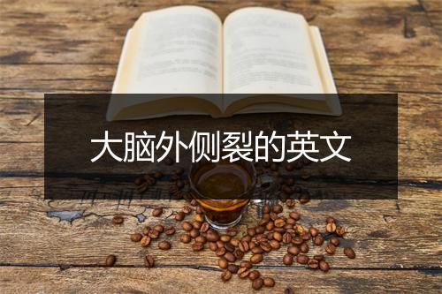 大脑外侧裂的英文