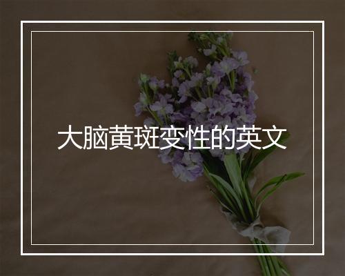 大脑黄斑变性的英文