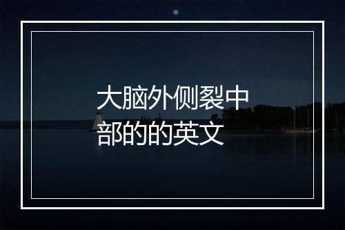 大脑外侧裂中部的的英文