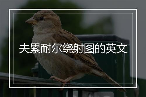 夫累耐尔绕射图的英文