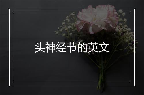 头神经节的英文