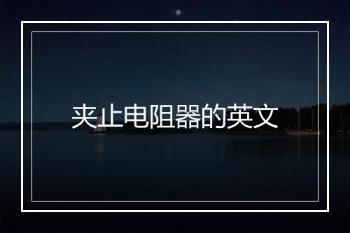 夹止电阻器的英文