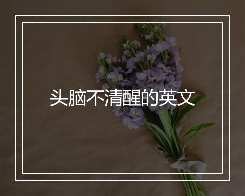 头脑不清醒的英文