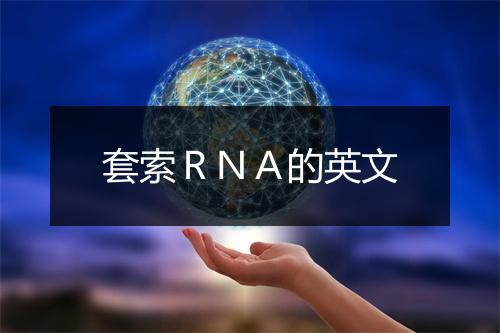 套索ＲＮＡ的英文