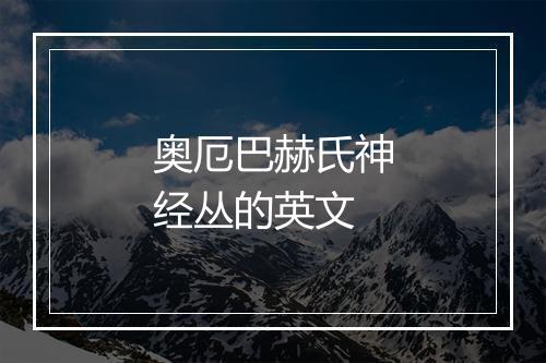 奥厄巴赫氏神经丛的英文