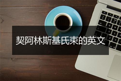 契阿林斯基氏束的英文