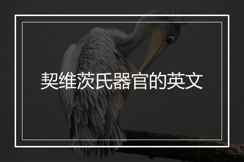 契维茨氏器官的英文