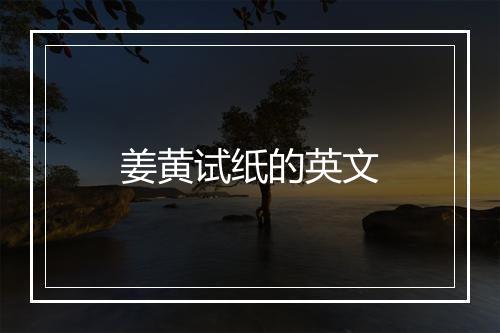 姜黄试纸的英文