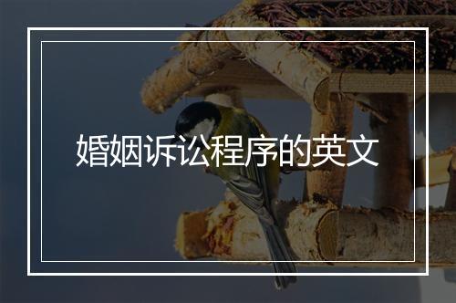 婚姻诉讼程序的英文