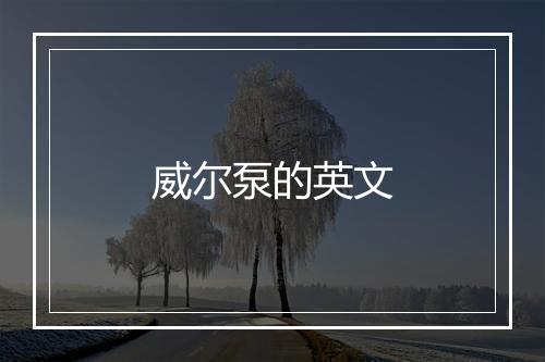 威尔泵的英文