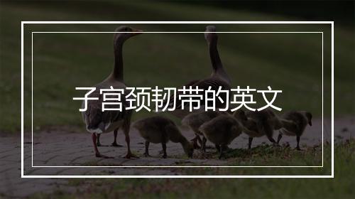 子宫颈韧带的英文