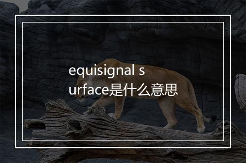 equisignal surface是什么意思