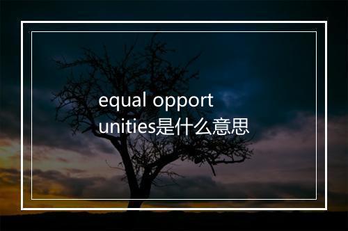 equal opportunities是什么意思