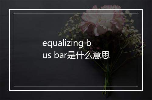 equalizing bus bar是什么意思