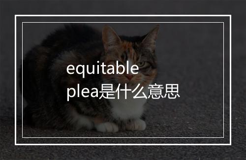 equitable plea是什么意思