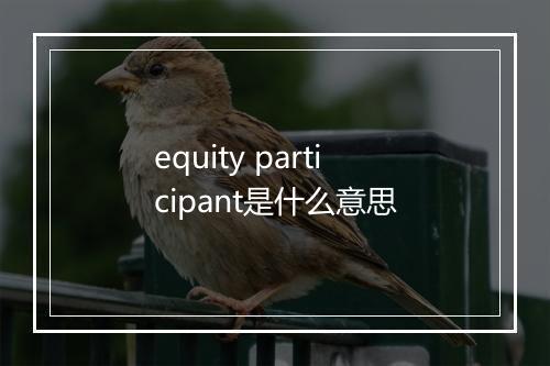 equity participant是什么意思