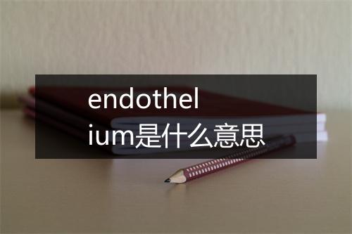 endothelium是什么意思