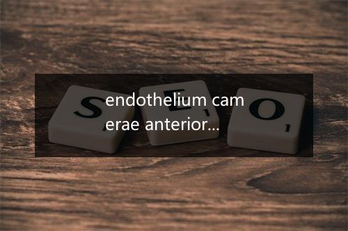 endothelium camerae anterioris是什么意思