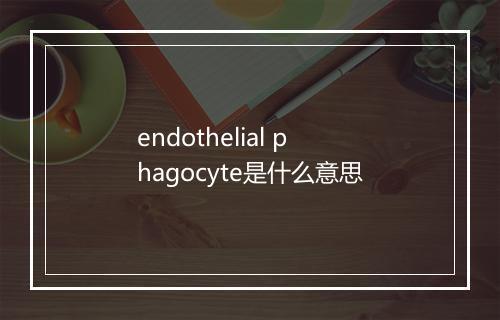 endothelial phagocyte是什么意思