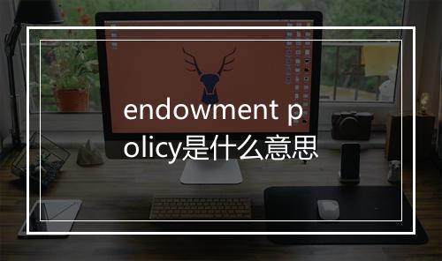 endowment policy是什么意思