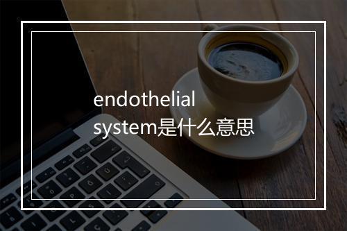 endothelial system是什么意思