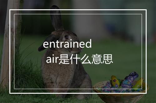 entrained air是什么意思