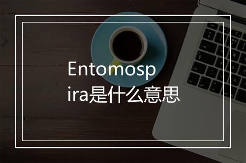 Entomospira是什么意思