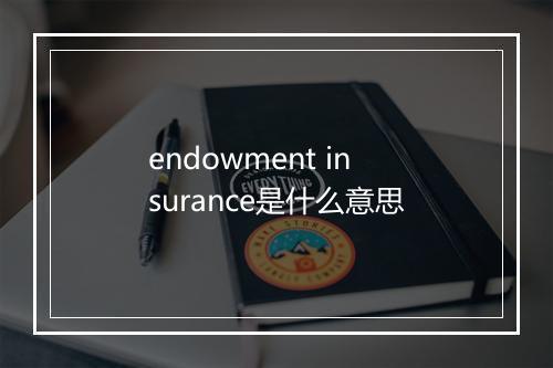 endowment insurance是什么意思