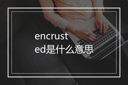 encrusted是什么意思