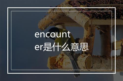 encounter是什么意思