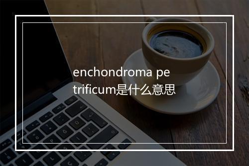 enchondroma petrificum是什么意思