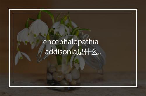 encephalopathia addisonia是什么意思