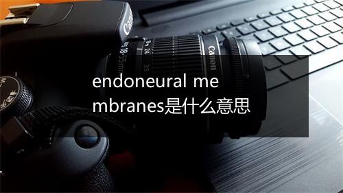 endoneural membranes是什么意思