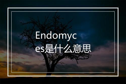 Endomyces是什么意思