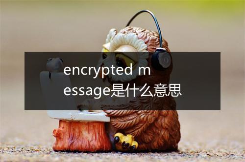 encrypted message是什么意思