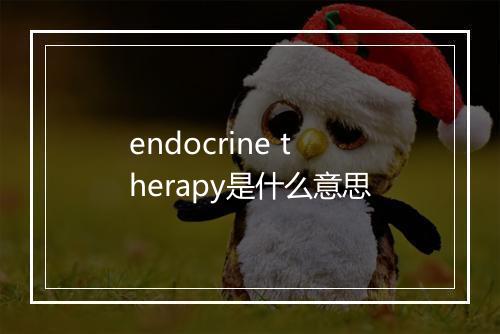 endocrine therapy是什么意思