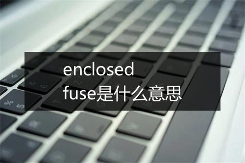 enclosed fuse是什么意思