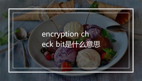 encryption check bit是什么意思