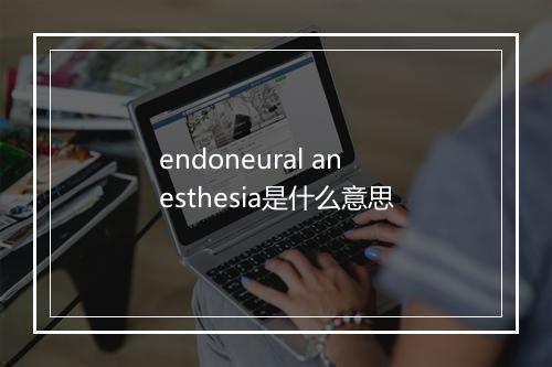 endoneural anesthesia是什么意思