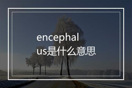 encephalus是什么意思