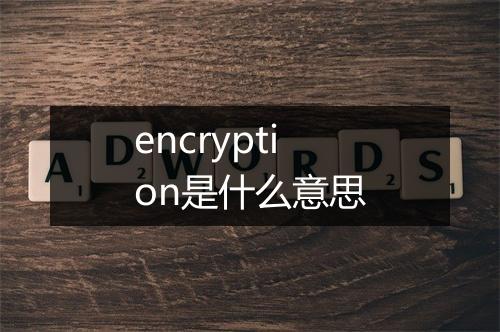 encryption是什么意思