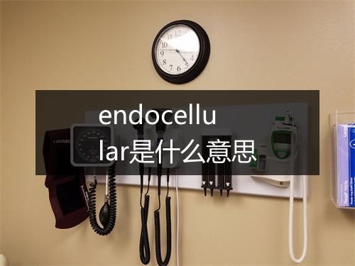 endocellular是什么意思