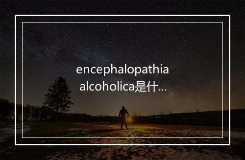 encephalopathia alcoholica是什么意思