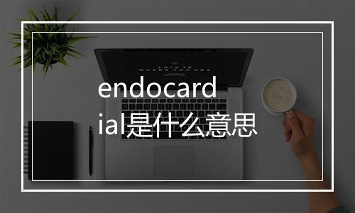 endocardial是什么意思