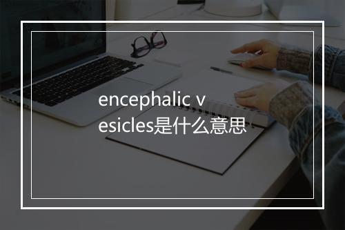 encephalic vesicles是什么意思