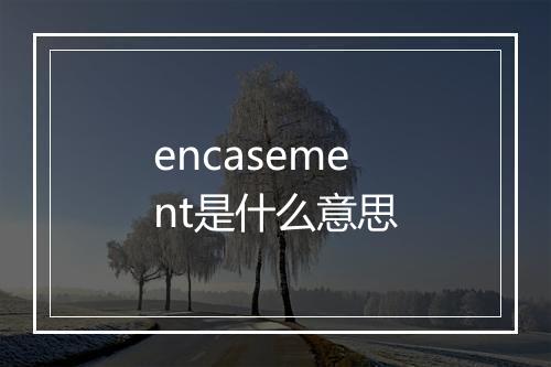 encasement是什么意思